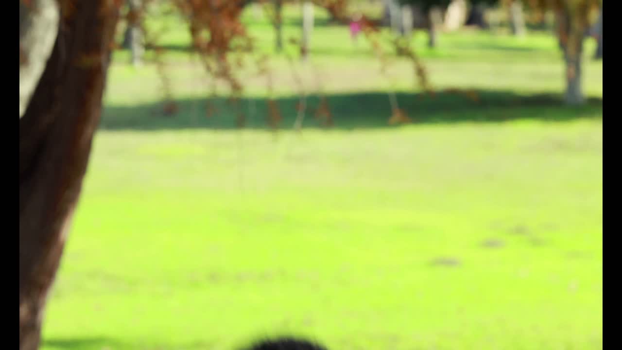 가을 잎을 던지는 작은 소년