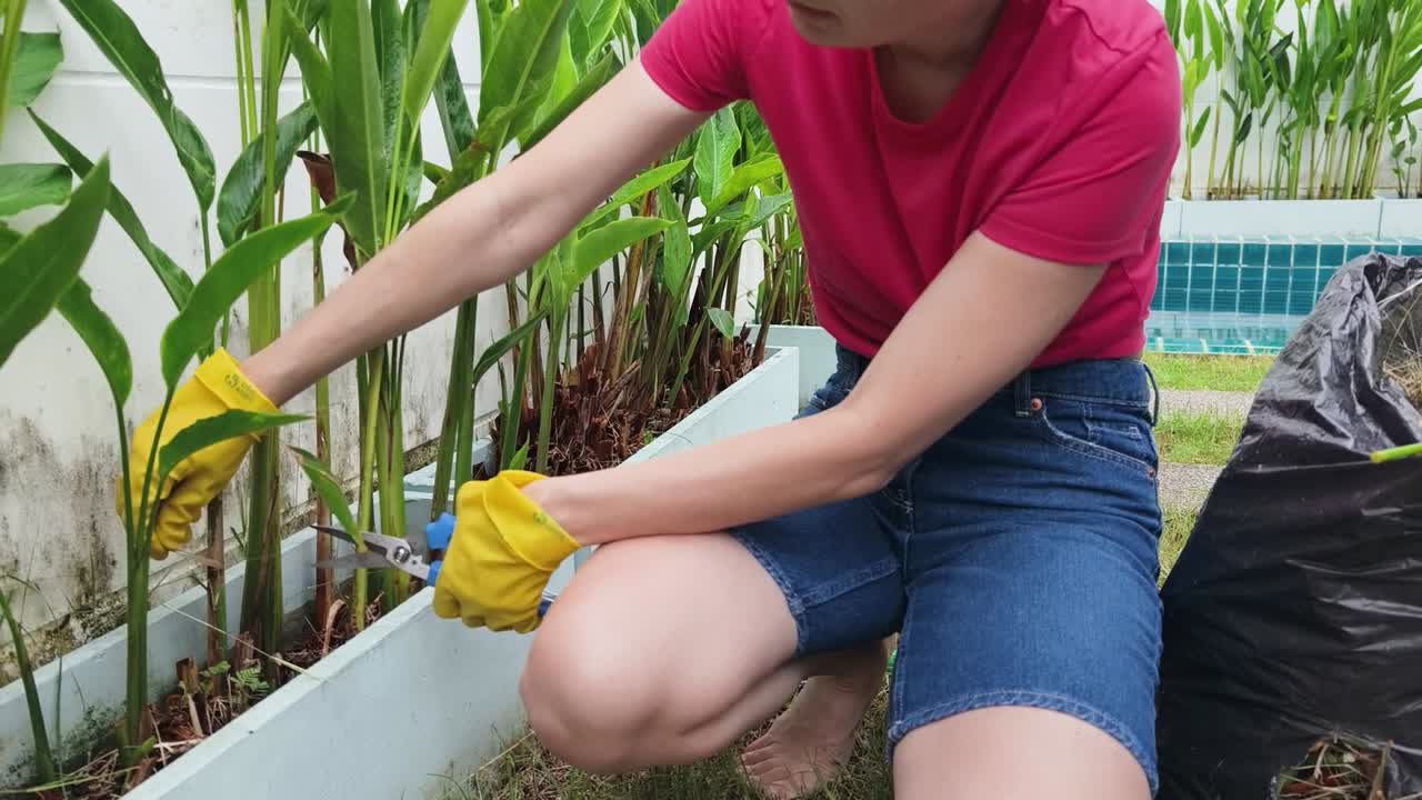 jardinería y poda de plantas