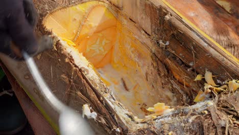 movimiento lento de la cuchara cortando el tronco de la palmera para la preparación de vino de palma destilado llamado akpeteshi o burukutu tradicional en ghana africa de cerca