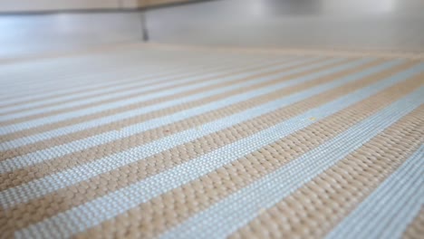 striped beige rug