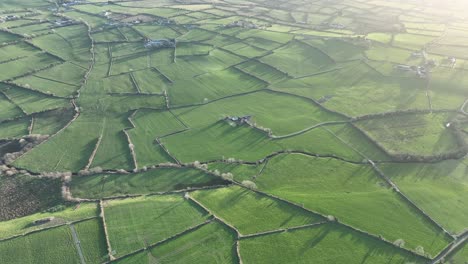 Paisaje-Irlandés-2---Campos-Verdes-Y-Paredes-De-Piedra---Condado-De-Kerry---Droneview-Estabilizado-En-4k