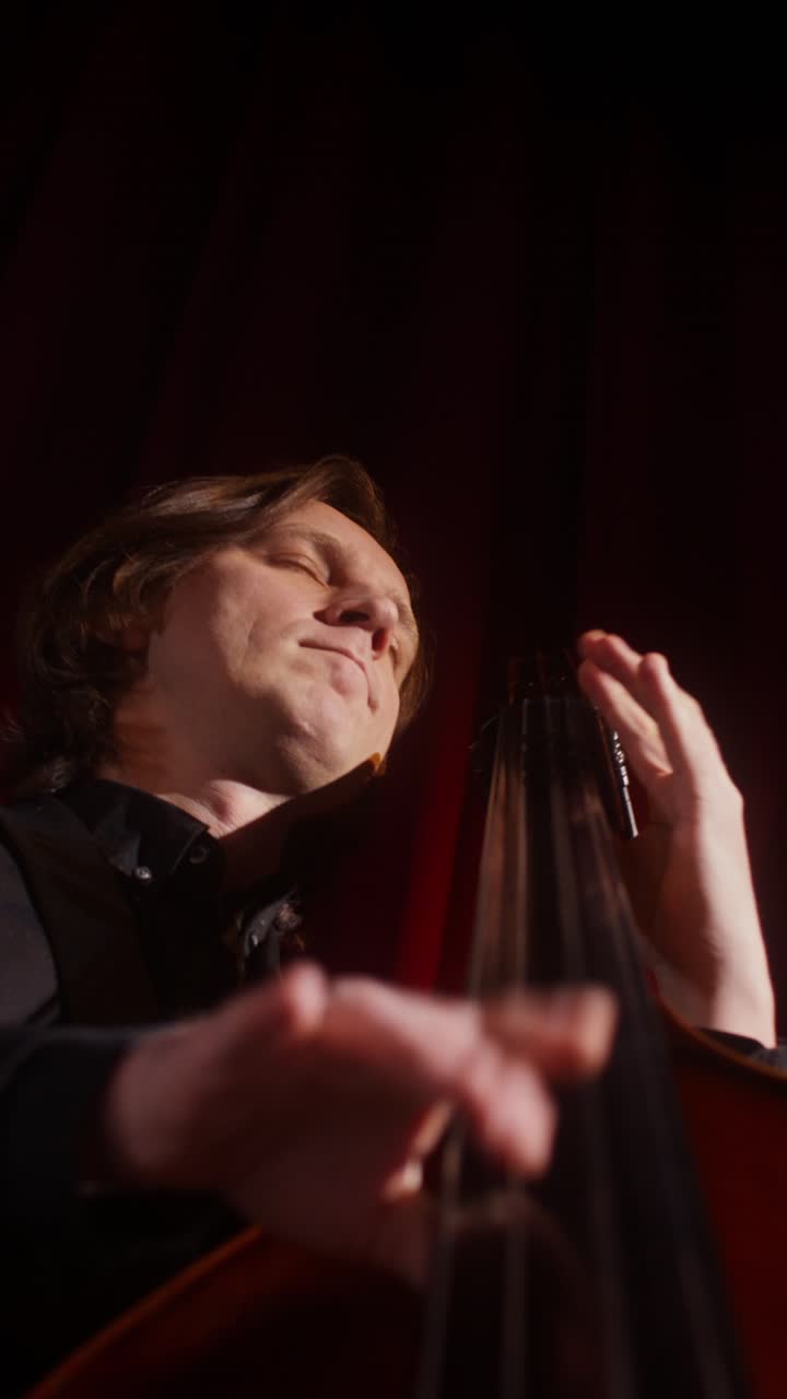 contrabajista en concierto