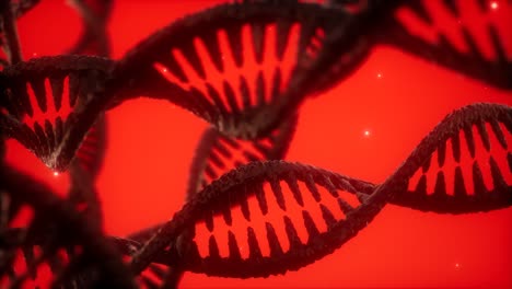 structure-of-the-DNA-double-helix-animation