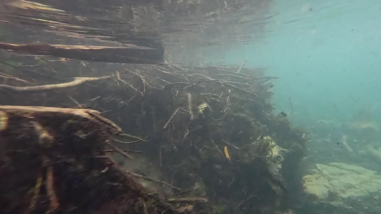 水中の川床の風景