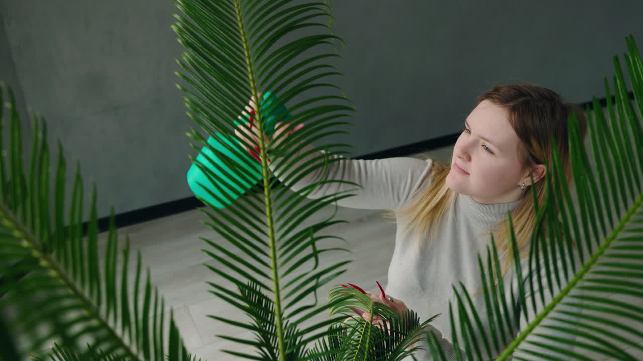 Woman Watering a Palm Tree Plant