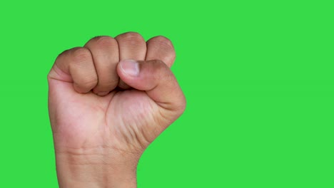 la mano de un hombre asiático forma un puño aislado en un fondo de pantalla verde