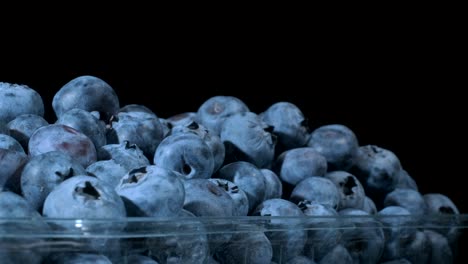 fresh blueberries in disposable plastic food pack on black background. close-up, camera rotation 360 degrees. bog bilberry, bog blueberry, northern bilberry or western blueberry (vaccinium uliginosum)