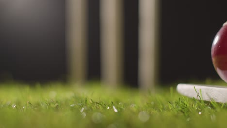 cricket still life with close up of ball on bat lying in grass in front of stumps