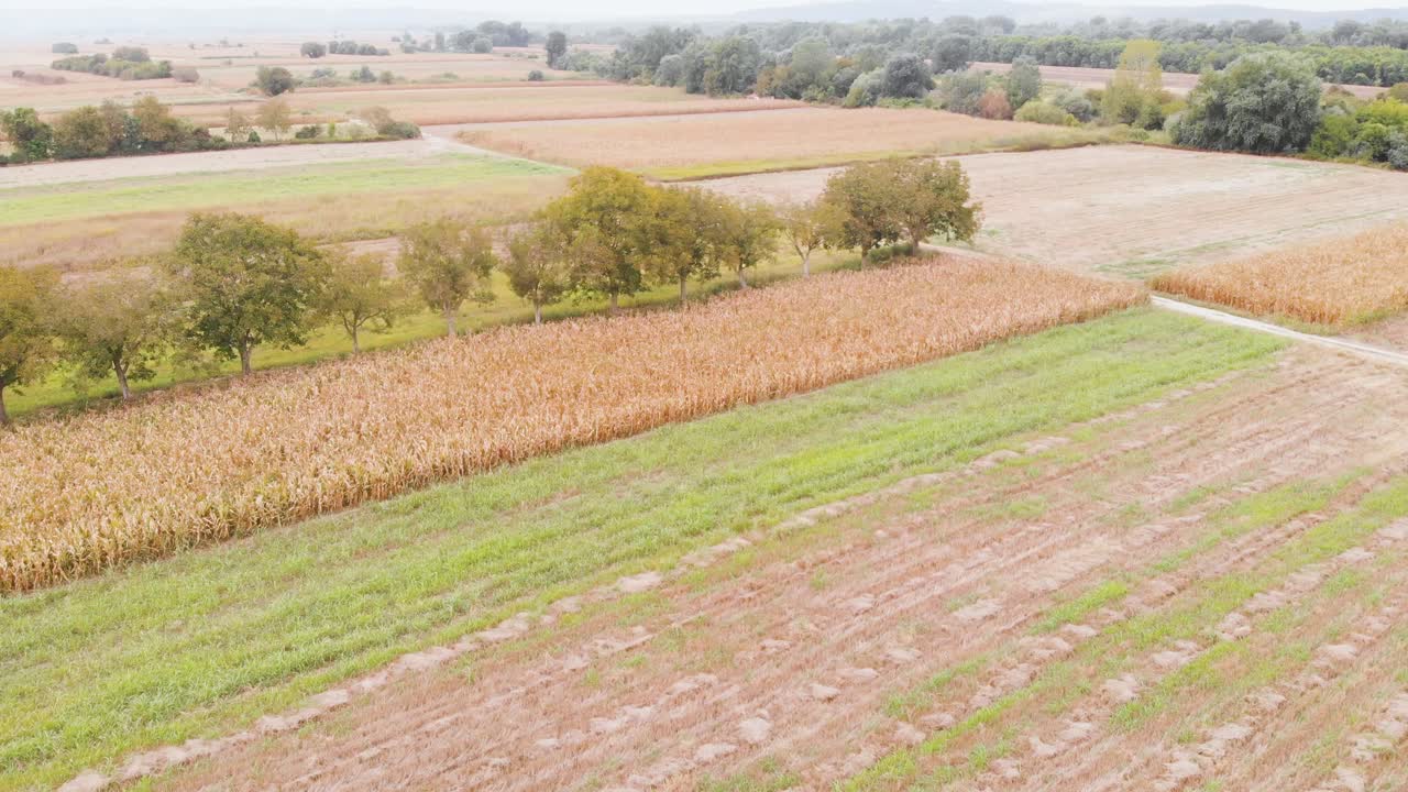 Beautiful agricultural video during a beautiful sunny day