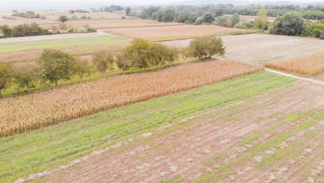 Beautiful-agricultural-video-during-a-beautiful-sunny-day