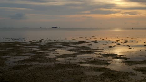 Sunset Beach Scene with Low Tide and People