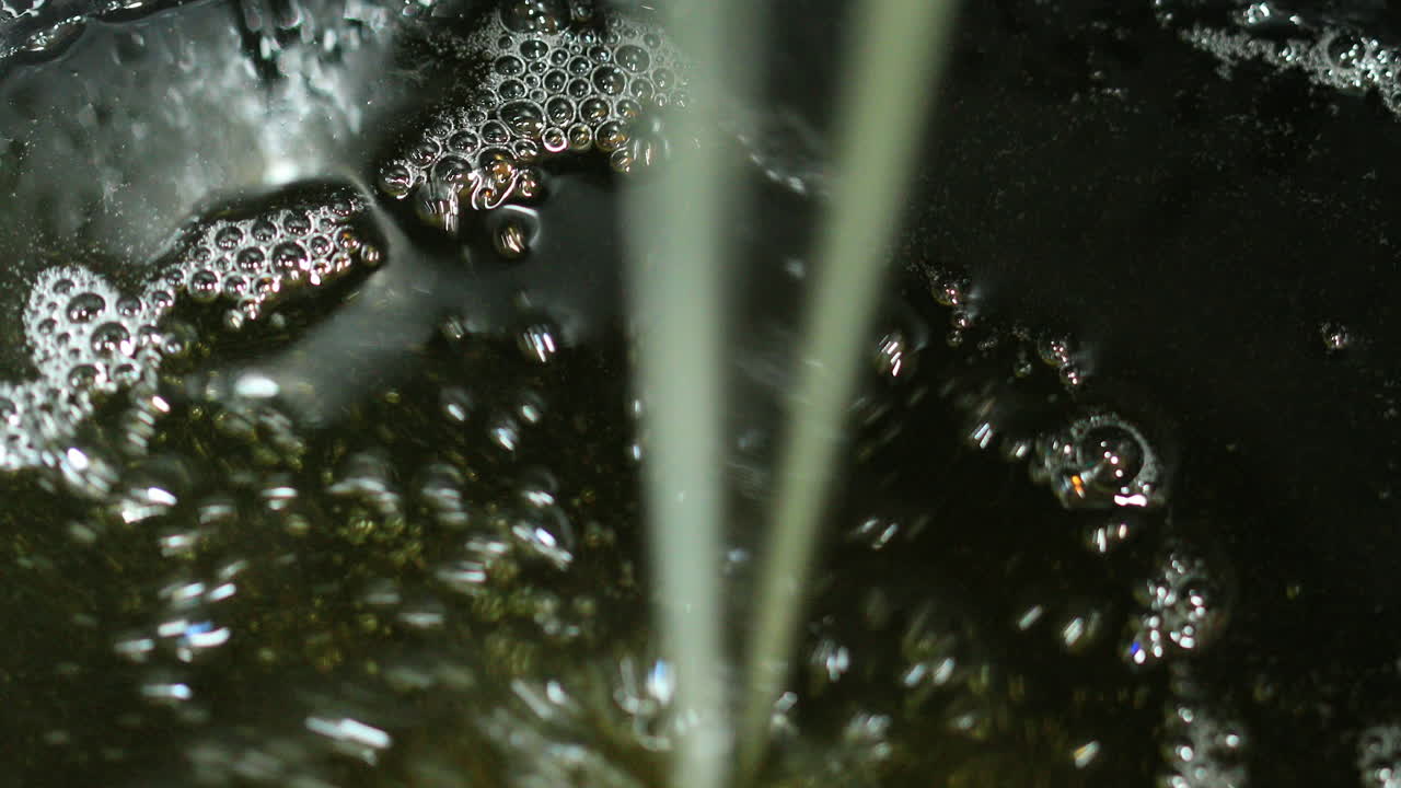 aceite de palma de macauba biodiésel sostenible, que se vierte en un contenedor comercial