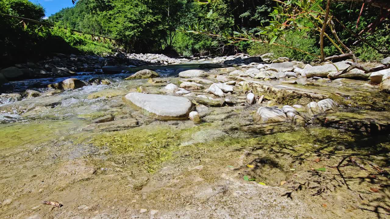 A rocky stream flows through a vibrant green forest on a sunny day