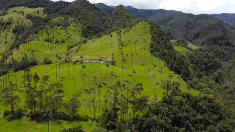 Volando-El-Dron-Sobre-El-Valle-De-Cocora-En-Colombia