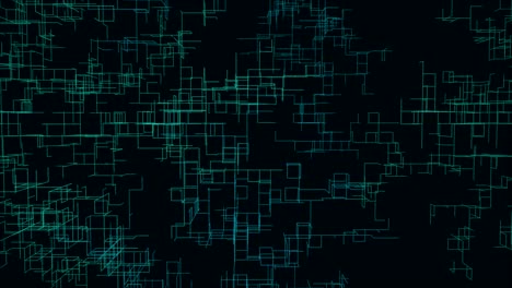 abstract network growth.