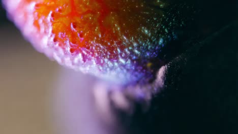 close-up of a strawberry