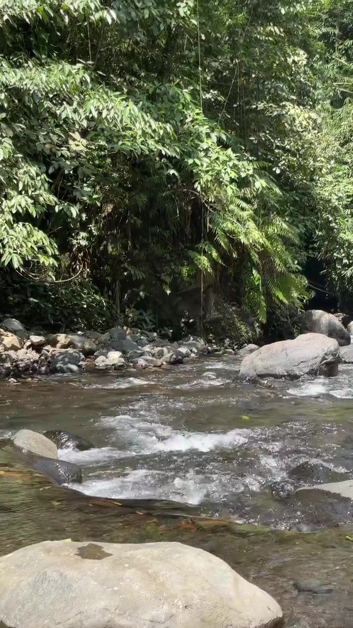 Acqua cristallina che scorre sulle rocce in una lussureggiante foresta tropicale