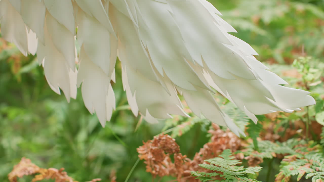 Close up of forest goddess walking gracefully through sunlight greenery with white wing brushing tenderly against fern leaves showing harmony purity and magic connection