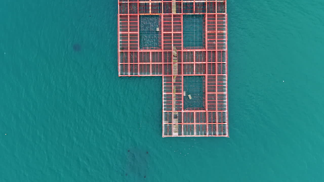Mussel farm in the sea shows workers tending to crops on a platform above clear blue water during daytime