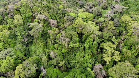 Denso-Dosel-Selvático-Del-Cráter-Volcánico-Del-Valle-De-Antón-En-El-Centro-De-Panamá,-Tiro-Aéreo-Inclinado-Hacia-Abajo