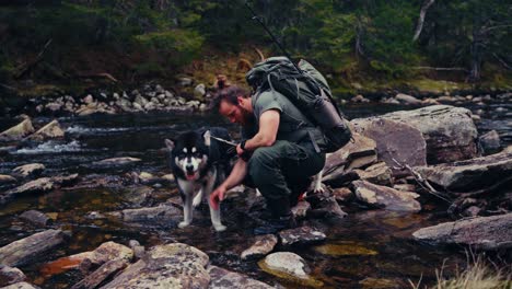 hiker with backpack together with his dogs in the river. - static shot