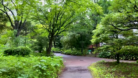 Die-Beste-Aussicht-In-Tokio