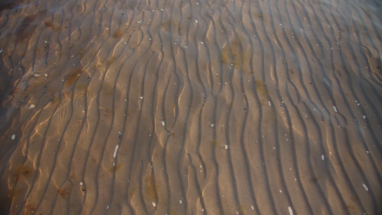 水の波動と砂の質感