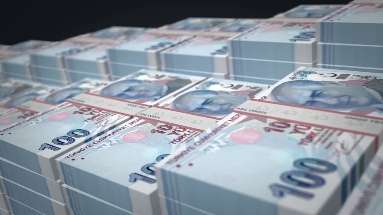 터키 리라 돈 지폐  성장