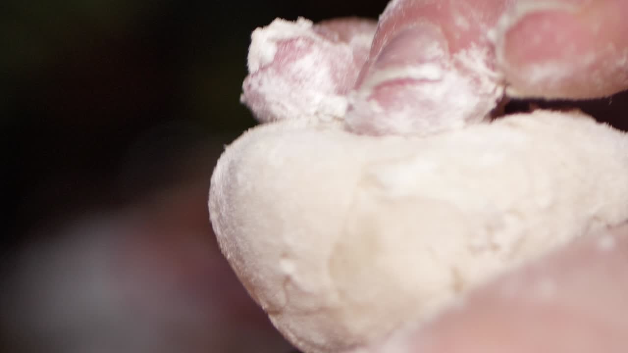 손으로 반죽을 공 모양으로 굴립니다.