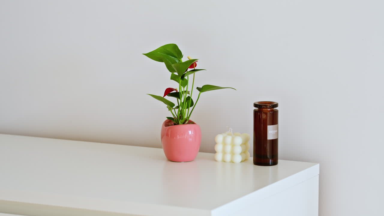 새로운 현대식 주택의 흰색 캐비닛 위에 있는 식물과 촛불의 정적인 전망