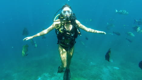 buzo en aguas oceánicas tropicales