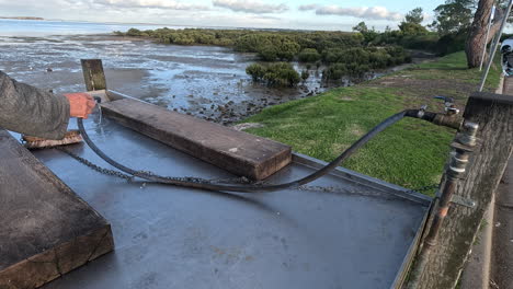 uma cena tranquila revelando mangueiras em maré baixa perto de uma mesa de peixes ao lado de uma rampa de barco, destacando a beleza da natureza costeira