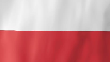realistic poland flag waving in the wind. 4k animation.