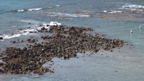 Volcanic-rocks-in-the-waters-of-Hanauma-Bay,-Hawaii-Kai-neighborhood-of-East-Honolulu,-Oahu