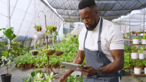 african american man in apron using tablet and notebook in greenhouse nursery