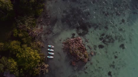 Four-women-in-swimsuits-stretch-and-practice-yoga-on-stand-up-paddle-boards-on-the-turquoise-waters-of-Bacalar's-Laguna-de-las-7-Colores-in-Quintana-Roo-Mexico