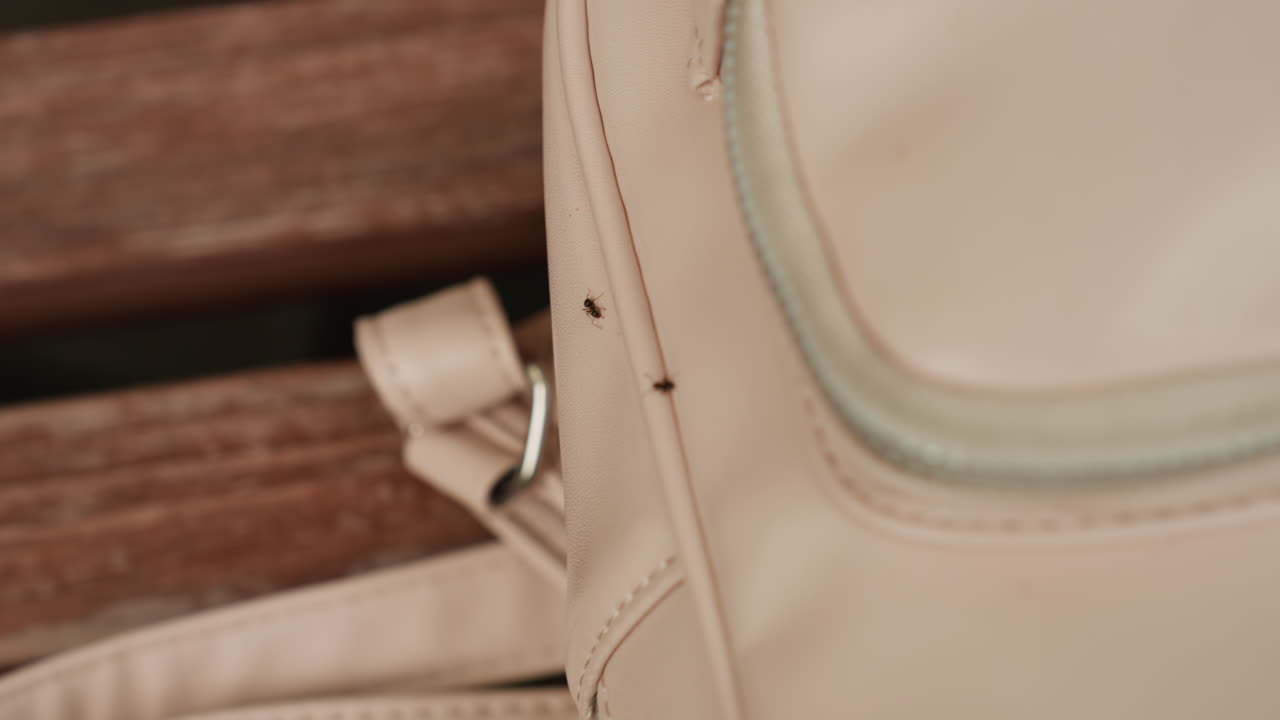 개미가 나무 벤치 위에 놓인 가죽 가방을 가로질러 걸어가는 클로즈업 장면이에요. 곤충의 움직임과 부드러운 햇빛이 갈색 표면을 강조하는 디테일한 텍스처를 보여주며 자연의 호기심을 불러일으키네요.