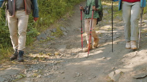 padres multiétnicos alegres y niños caminando en la naturaleza