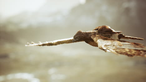 extreme-slow-motion-shot-of-eagle