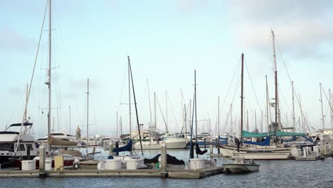 Parkplatz-Für-Schiffe-In-Der-Bucht