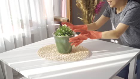 enfermedad de la limpieza. mujer joven limpiando en casa.