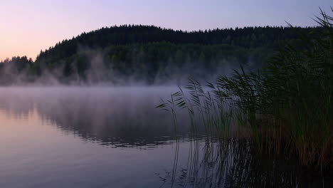 misty sunrise over a lake with forest