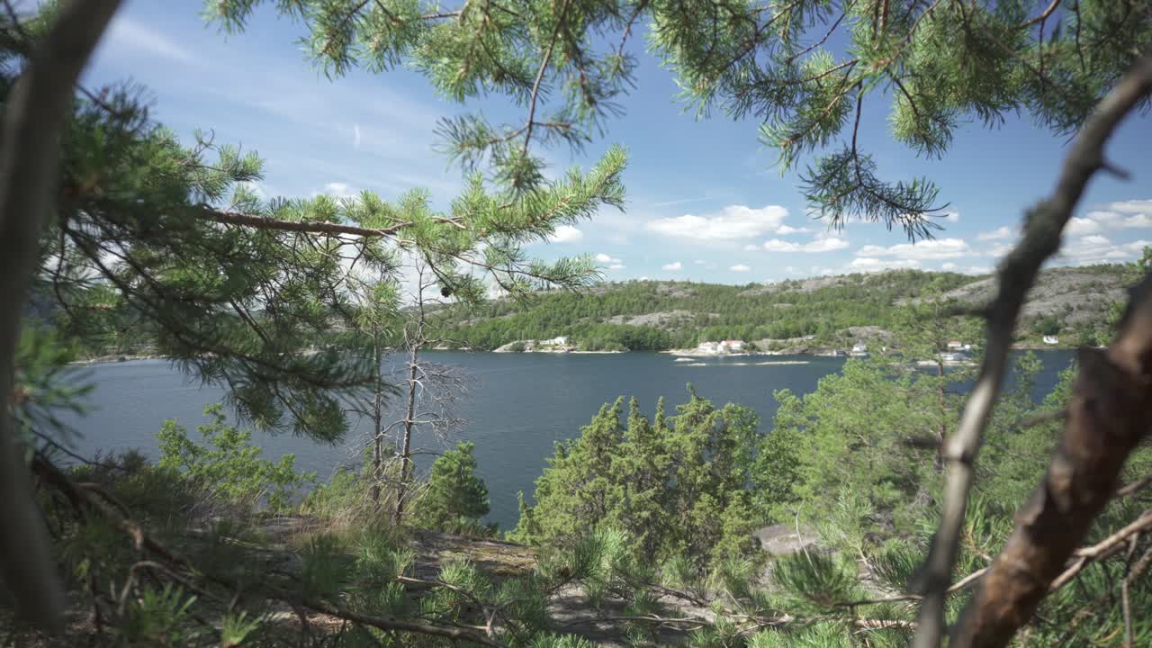Sjötutsikt genom tät skogsvegetation, med slider-effekt