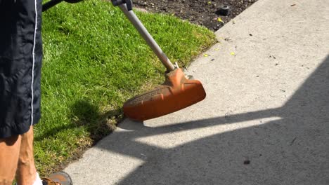 weed wacking the edge of the grass beside the sidewalk