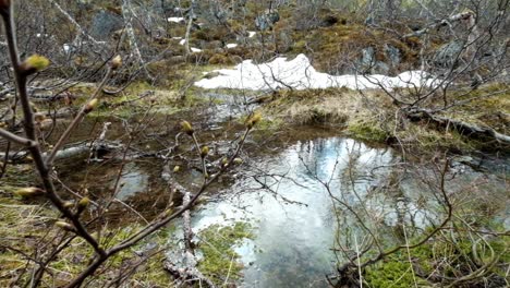 Stream-from-the-glacier