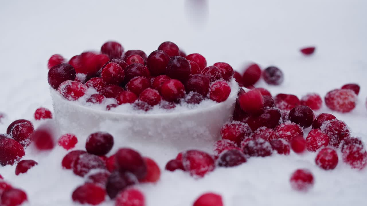 눈 속의 크랜베리