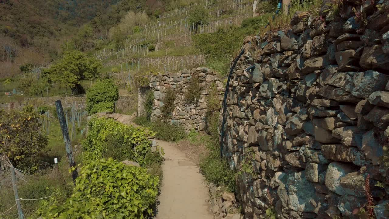 el sendero del viñedo de terre cinque corniglia con nubes sobre colinas verdes