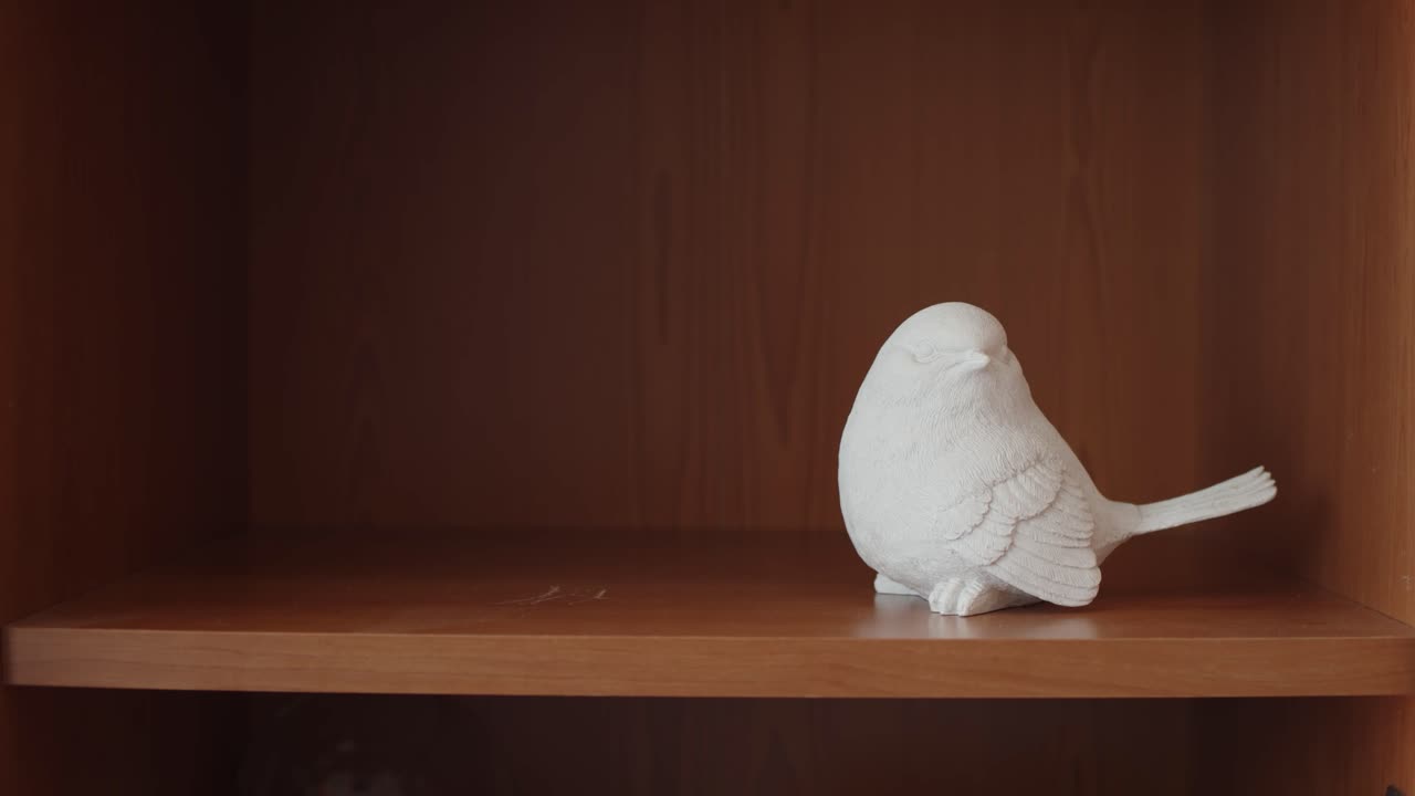 agarrando una vieja cámara analógica de un estante al lado de un pájaro blanco 4k