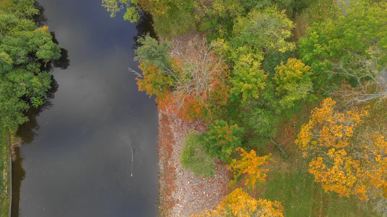 Aerial of small river with beautiful autumn foliage trees on its bank