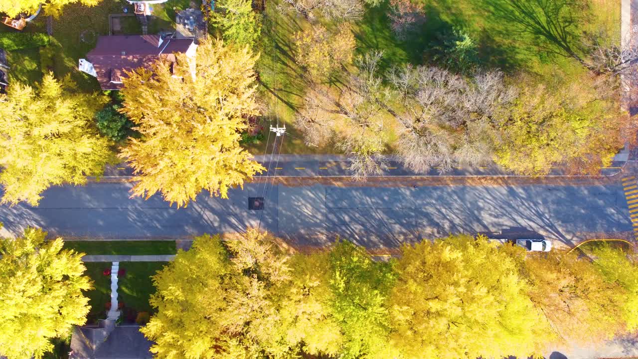Top down view over breathtaking street in autumn, fall, yellow leafs on trees, urban neighborhood, suburban, few parked cars, garden, houses